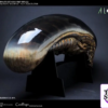 Coolprops Studio – Alien Xenomorph 1/1 Life size Bust Resin Statue Figure (Licensed) - Photo 8 | TopGKStore