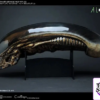 Coolprops Studio – Alien Xenomorph 1/1 Life size Bust Resin Statue Figure (Licensed) - Photo 9 | TopGKStore