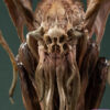 Manas SUM X Keisuke Yoneyama – Cthulhu V2 Edition Statue (Licensed) - Photo 10 | TopGKStore
