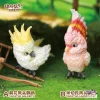 Animal BangBang Studio – Original “What bird?” Series Sunflower Parrot & Mitchell Parrot (Licensed) - P