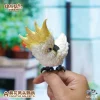 Animal BangBang Studio – Original “What bird?” Series Sunflower Parrot & Mitchell Parrot (Licensed) - P