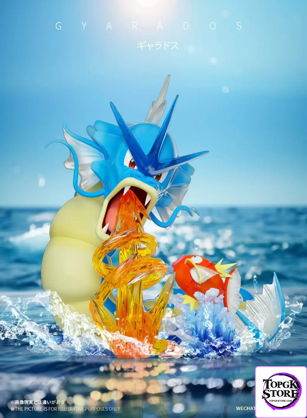 Wonder Studio – Pokémon Gyarados Evolution Set - Photo 2 | TopGKStore