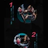 Spades Studio – Dragon Ball #5 Goku Vs Pirates - Photo 1 | TopGKStore