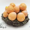 Wonder Studio – Pokémon Exeggutor Evolution Set - Photo 4 | TopGKStore
