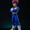 Sculpting Soul Studio – Super Warriors of Universe 7 (Goku, Vegeta, Gohan, Piccolo, Broly) - Photo 19 | TopGKStore