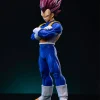 Sculpting Soul Studio – Super Warriors of Universe 7 (Goku, Vegeta, Gohan, Piccolo, Broly) - Photo 20 | TopGKStore