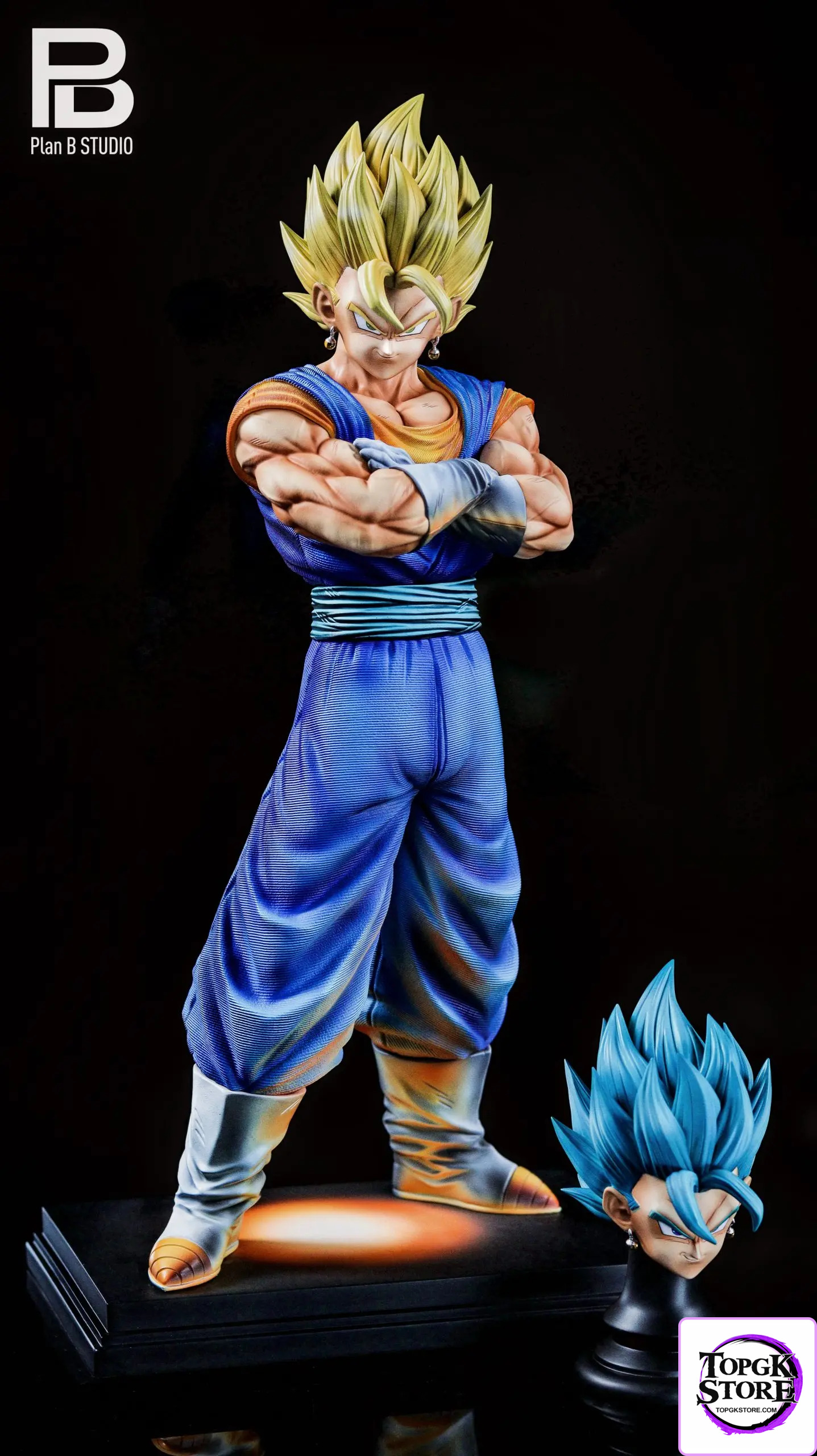 PlanB Studio – Dragon Ball 2.5D color matching Vegetto - Photo 2 | TopGKStore