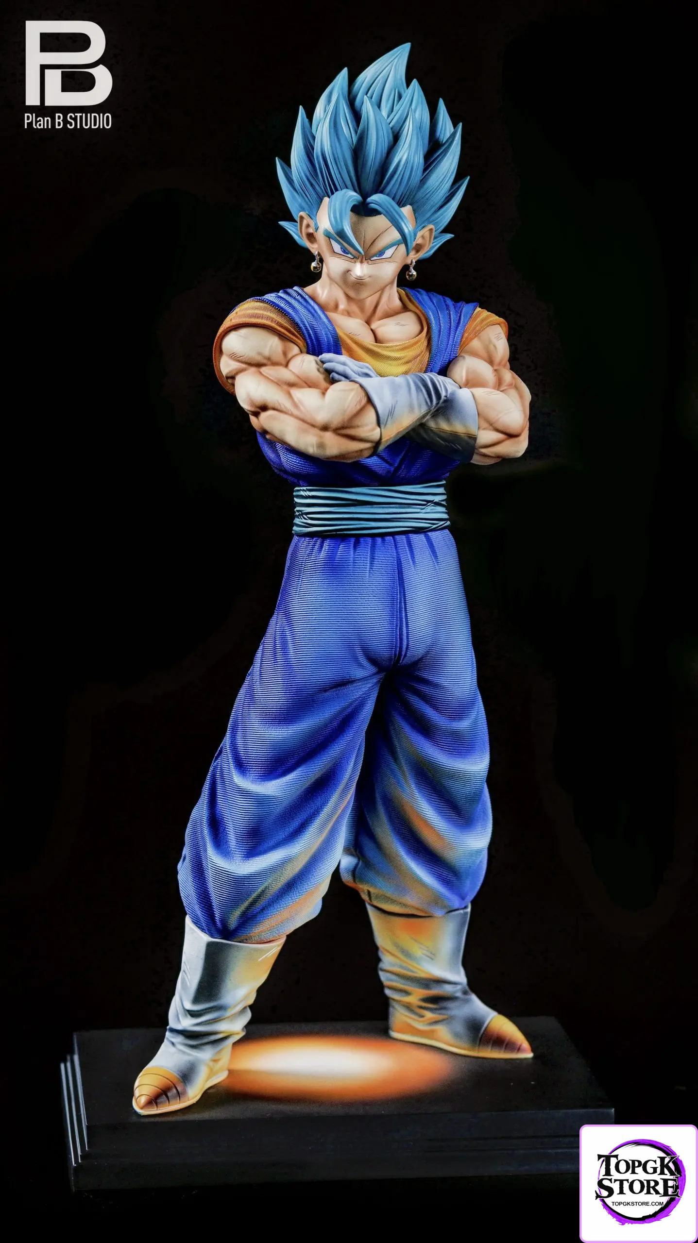 PlanB Studio – Dragon Ball 2.5D color matching Vegetto - Photo 1 | TopGKStore