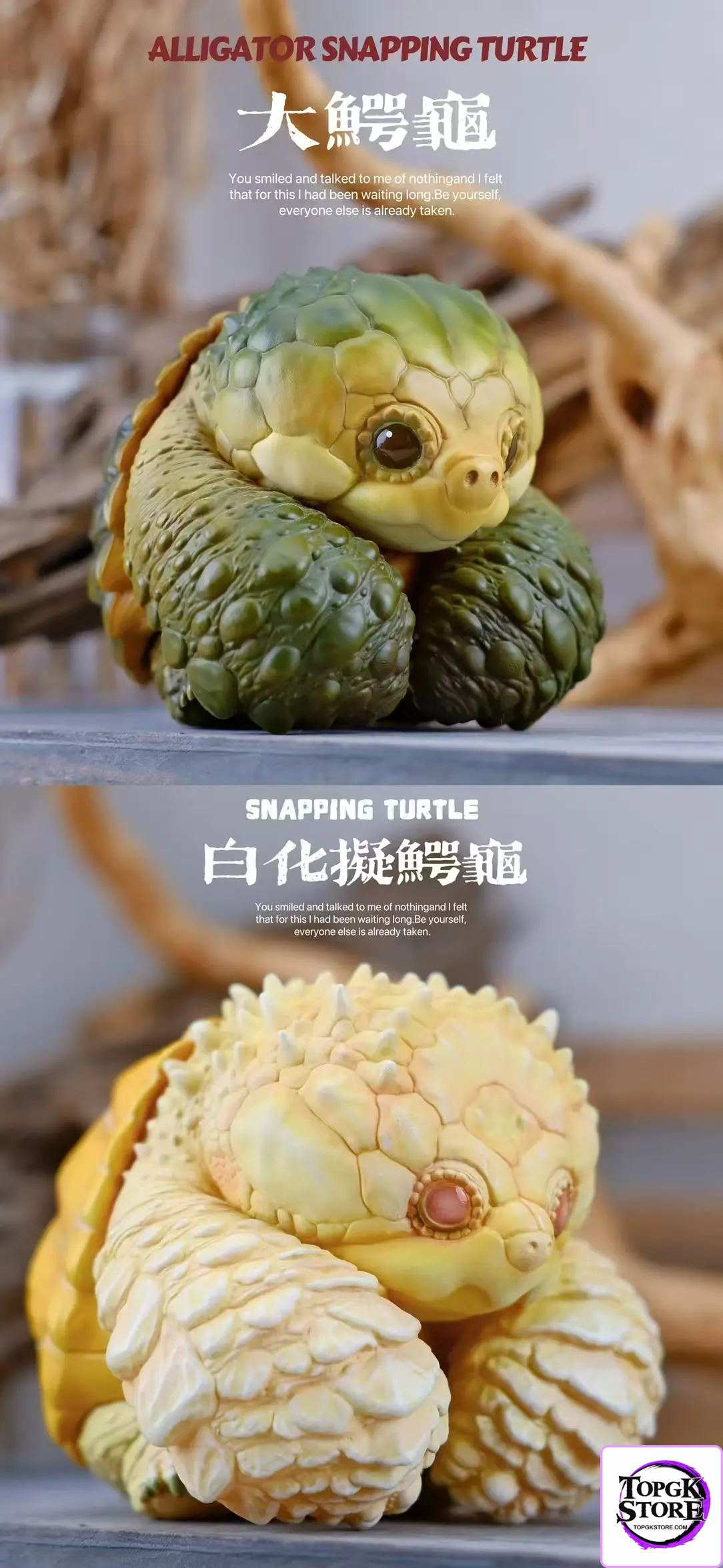 Natural Science Book Studio – Original 2024 Zoo Turtle Series (Licensed) - Photo 4 | TopGKStore