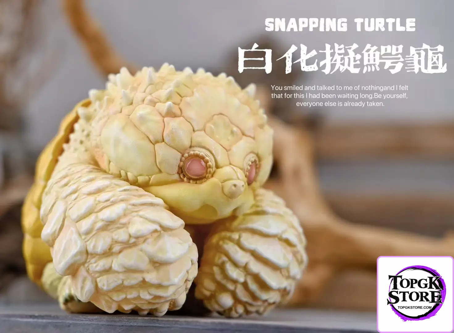 Natural Science Book Studio – Original 2024 Zoo Turtle Series (Licensed) - Photo 2 | TopGKStore