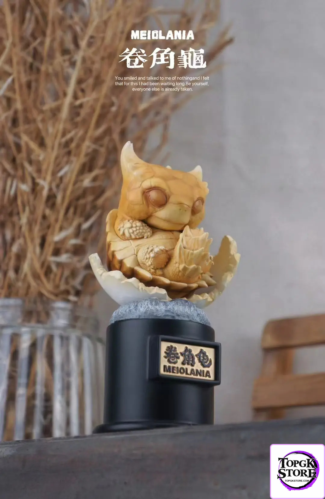 Natural Science Book Studio – Original 2024 Ancient Turtle (Licensed) - Photo 3 | TopGKStore