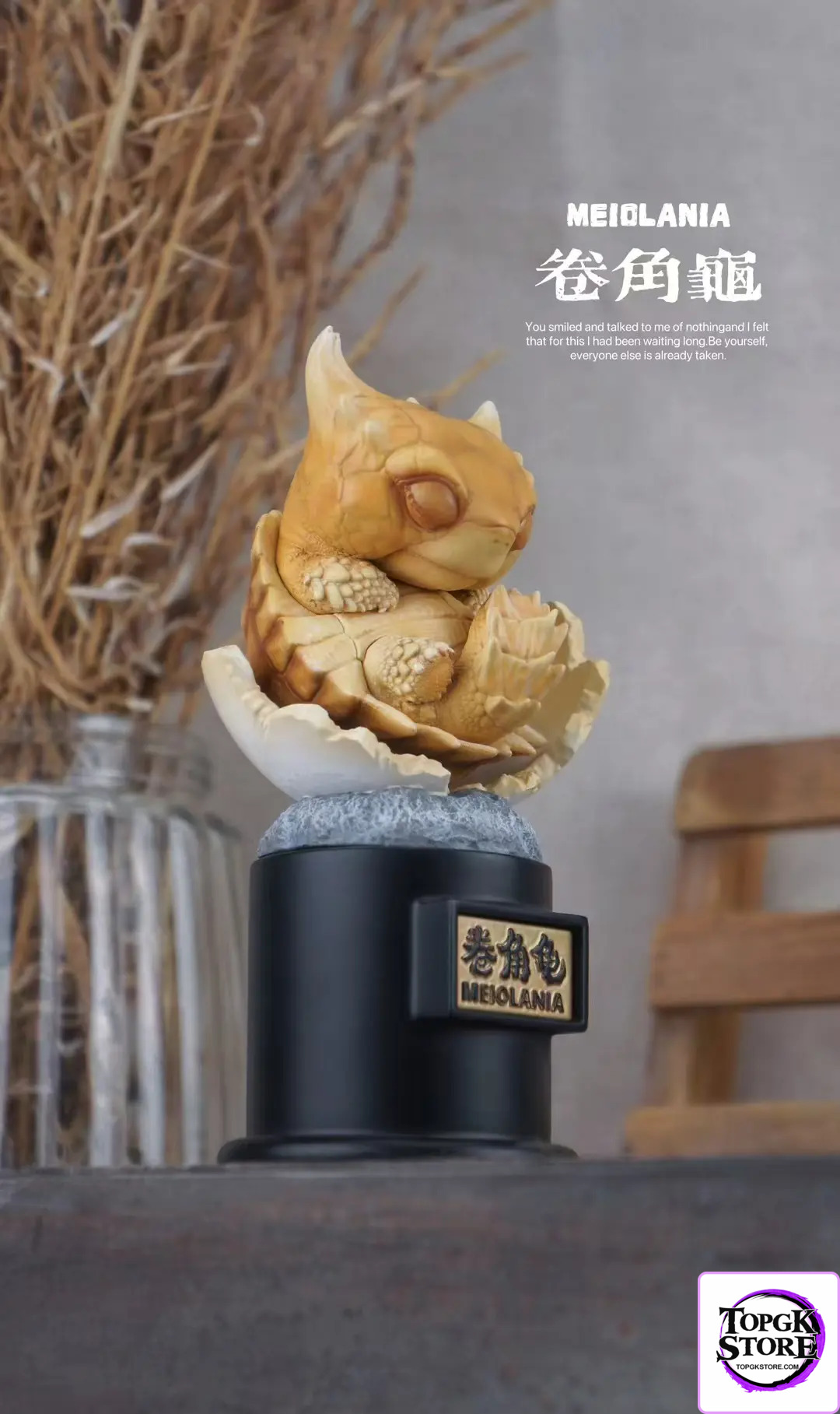 Natural Science Book Studio – Original 2024 Ancient Turtle (Licensed) - Photo 4 | TopGKStore