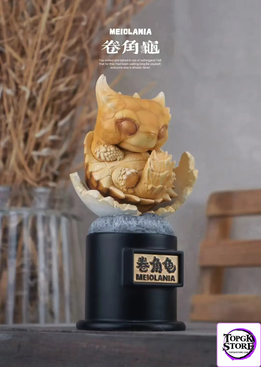 Natural Science Book Studio – Original 2024 Ancient Turtle (Licensed) - Photo 5 | TopGKStore