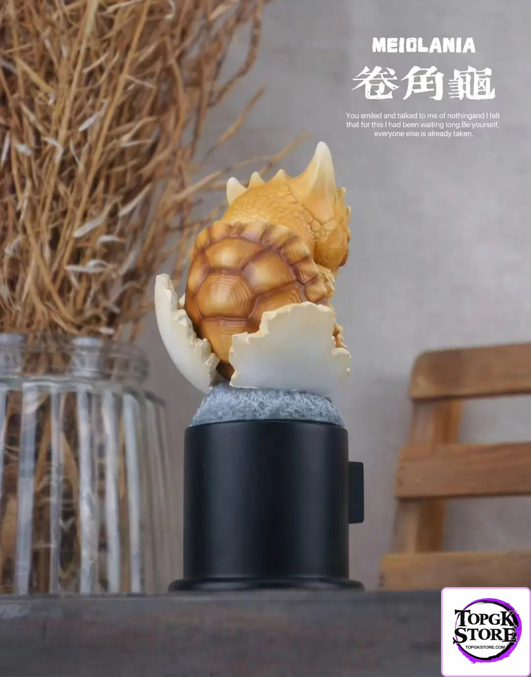 Natural Science Book Studio – Original 2024 Ancient Turtle (Licensed) - Photo 2 | TopGKStore