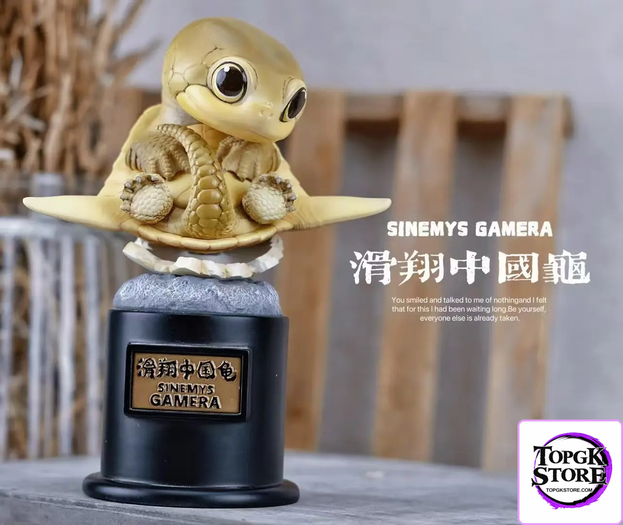 Natural Science Book Studio – Original 2024 Ancient Turtle (Licensed) - Photo 6 | TopGKStore