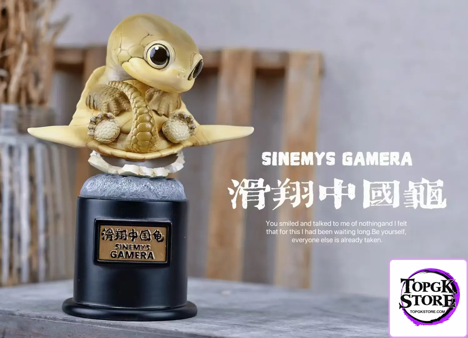 Natural Science Book Studio – Original 2024 Ancient Turtle (Licensed) - Photo 7 | TopGKStore