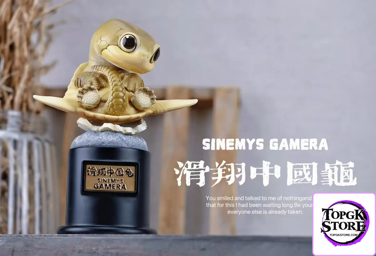 Natural Science Book Studio – Original 2024 Ancient Turtle (Licensed) - Photo 8 | TopGKStore