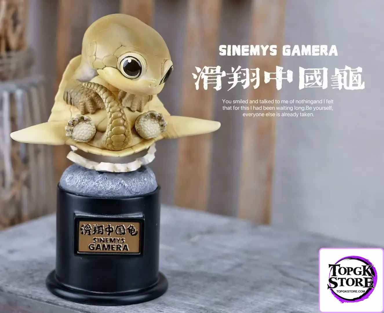 Natural Science Book Studio – Original 2024 Ancient Turtle (Licensed) - Photo 9 | TopGKStore