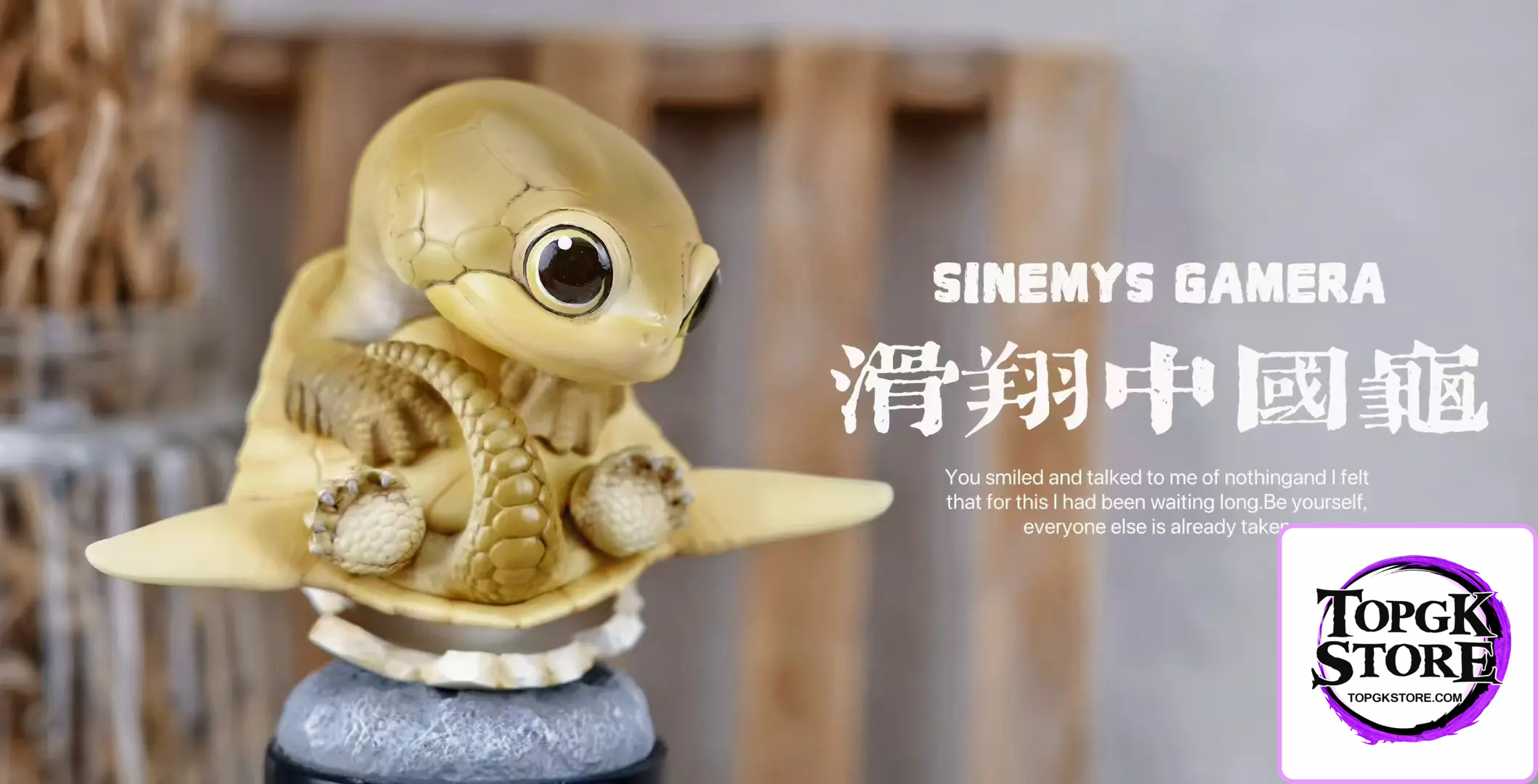 Natural Science Book Studio – Original 2024 Ancient Turtle (Licensed) - Photo 10 | TopGKStore