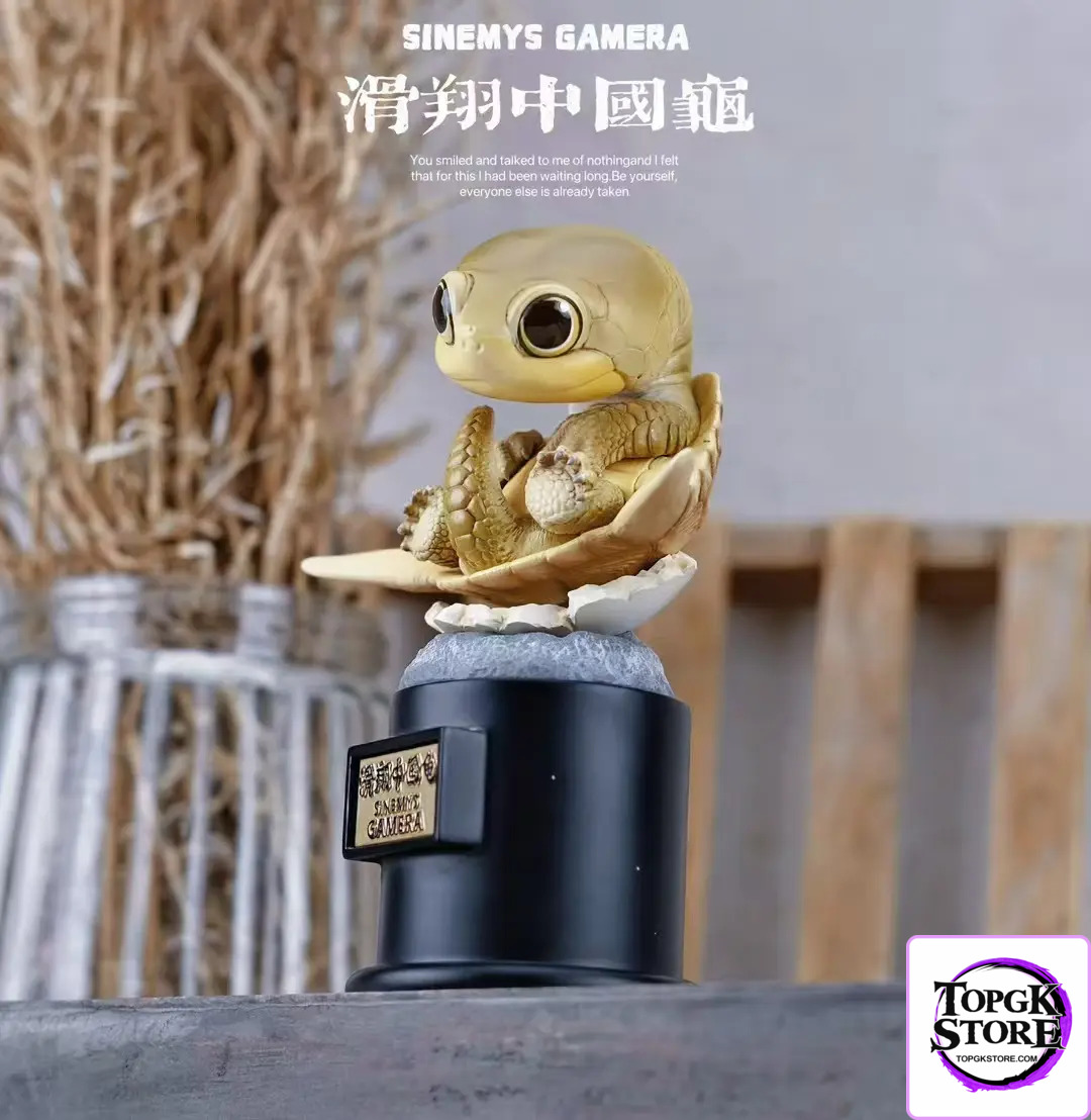 Natural Science Book Studio – Original 2024 Ancient Turtle (Licensed) - Photo 11 | TopGKStore