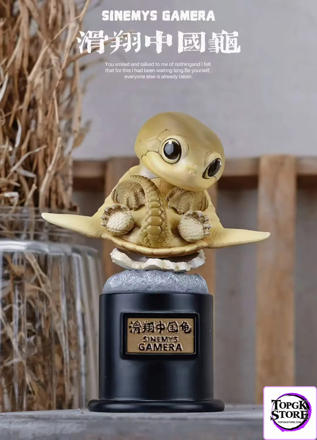 Natural Science Book Studio – Original 2024 Ancient Turtle (Licensed) - Photo 12 | TopGKStore