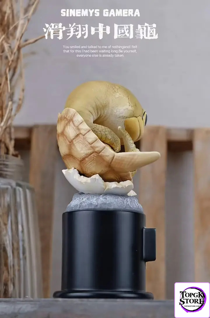 Natural Science Book Studio – Original 2024 Ancient Turtle (Licensed) - Photo 13 | TopGKStore