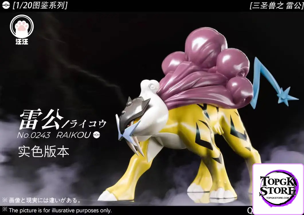 Wang Wang Studio – Pokémon Legendary beasts #2 Raikou - Photo 1 | TopGKStore