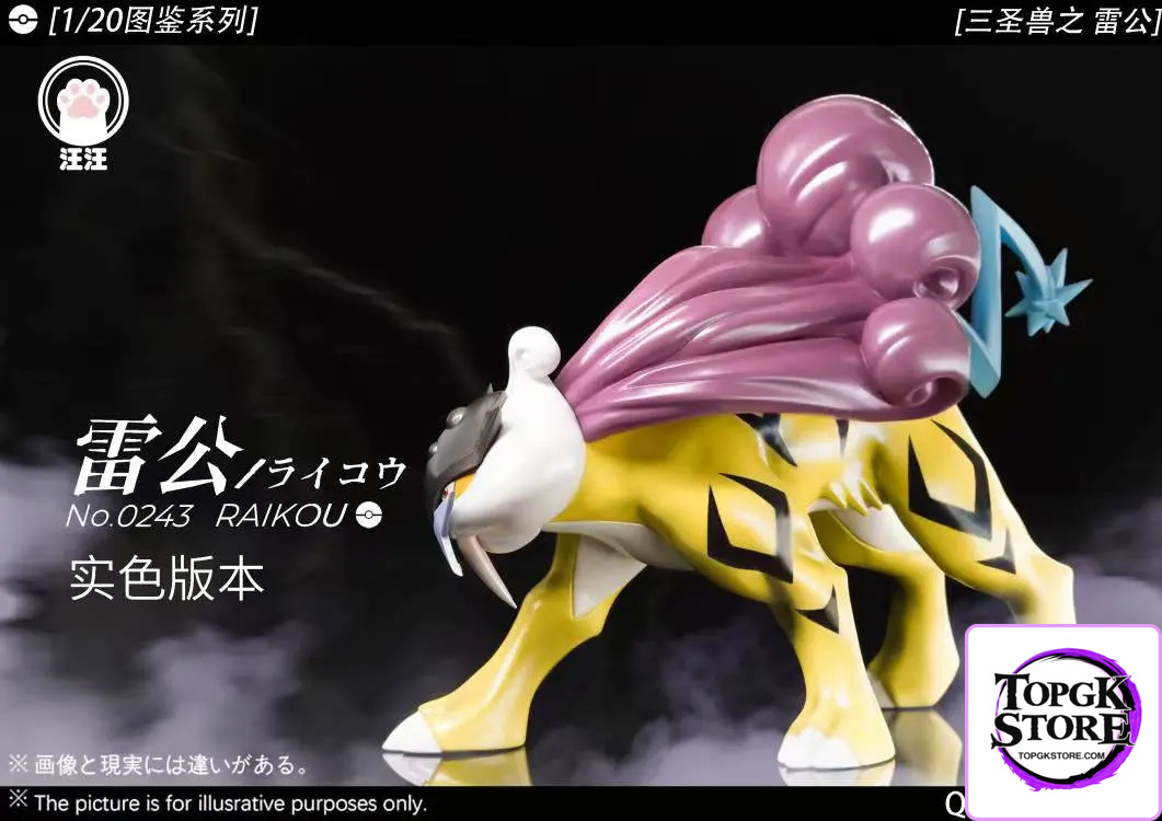 Wang Wang Studio – Pokémon Legendary beasts #2 Raikou - Photo 4 | TopGKStore