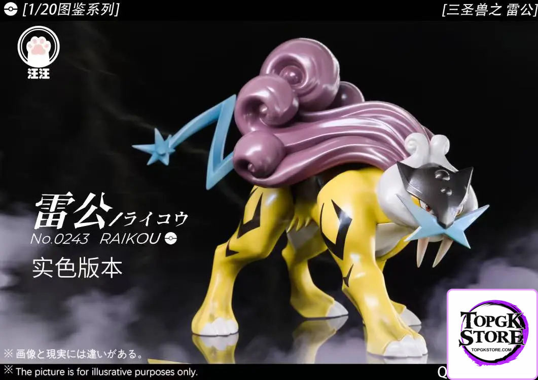 Wang Wang Studio – Pokémon Legendary beasts #2 Raikou - Photo 3 | TopGKStore