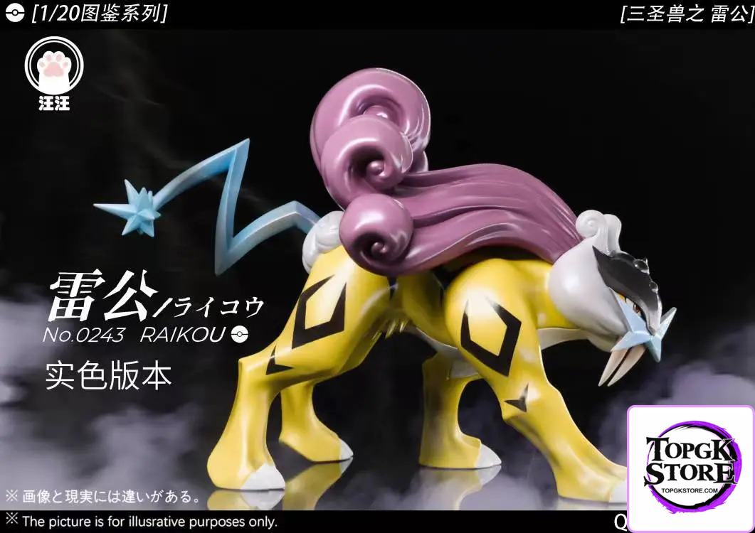 Wang Wang Studio – Pokémon Legendary beasts #2 Raikou - Photo 2 | TopGKStore