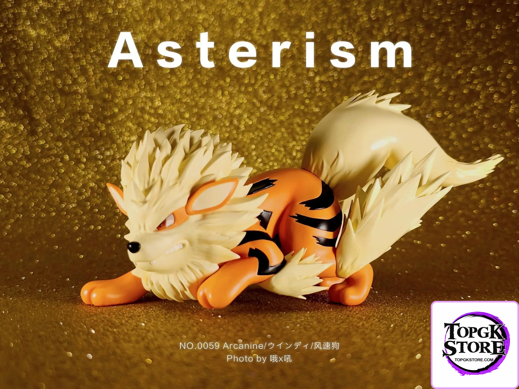 Asterism Studio – Pokémon Arcanine (normal color) - Photo 1 | TopGKStore