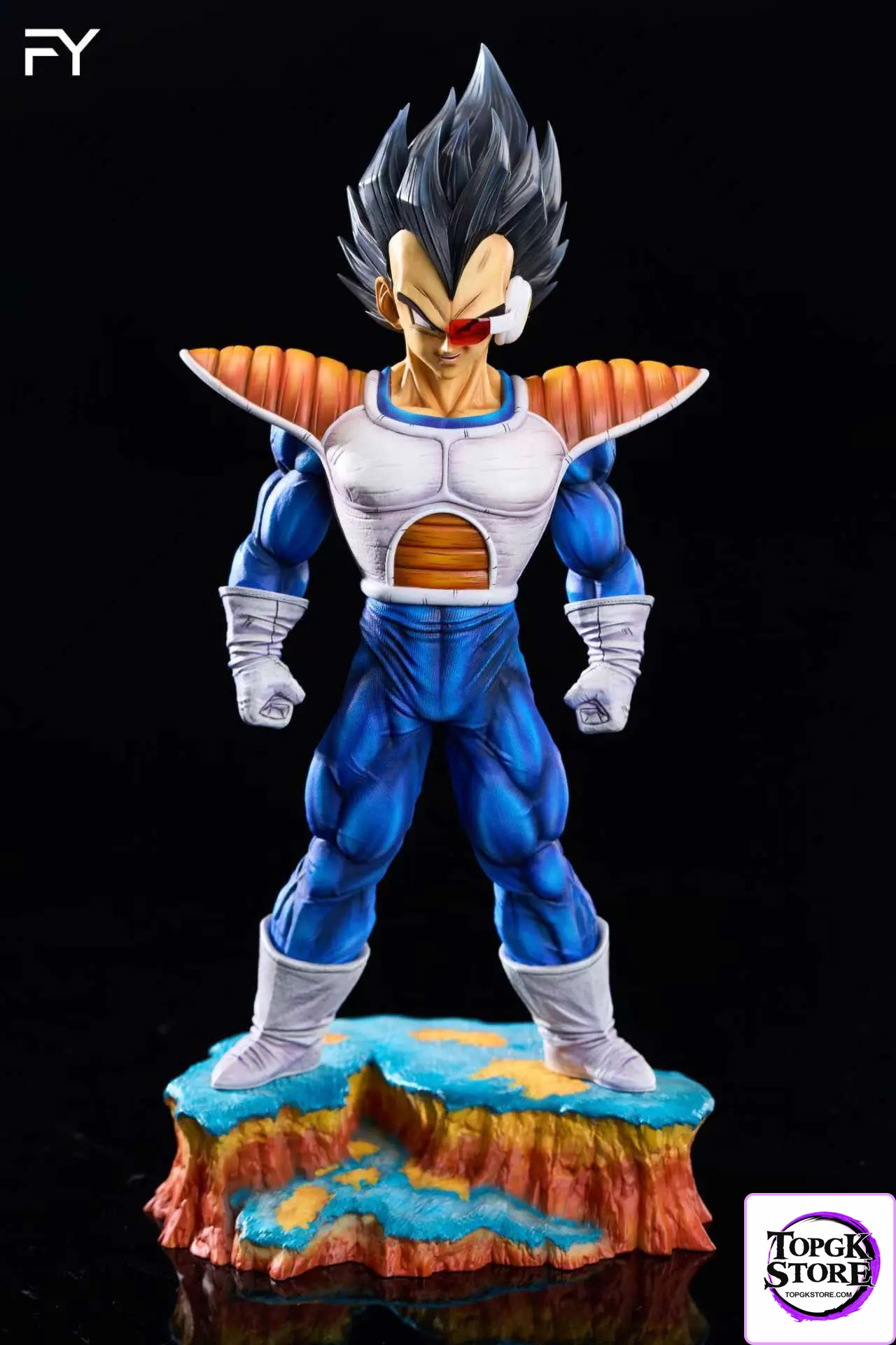 FY Studio – Dragon Ball Namek Vegeta - Photo 1 | TopGKStore