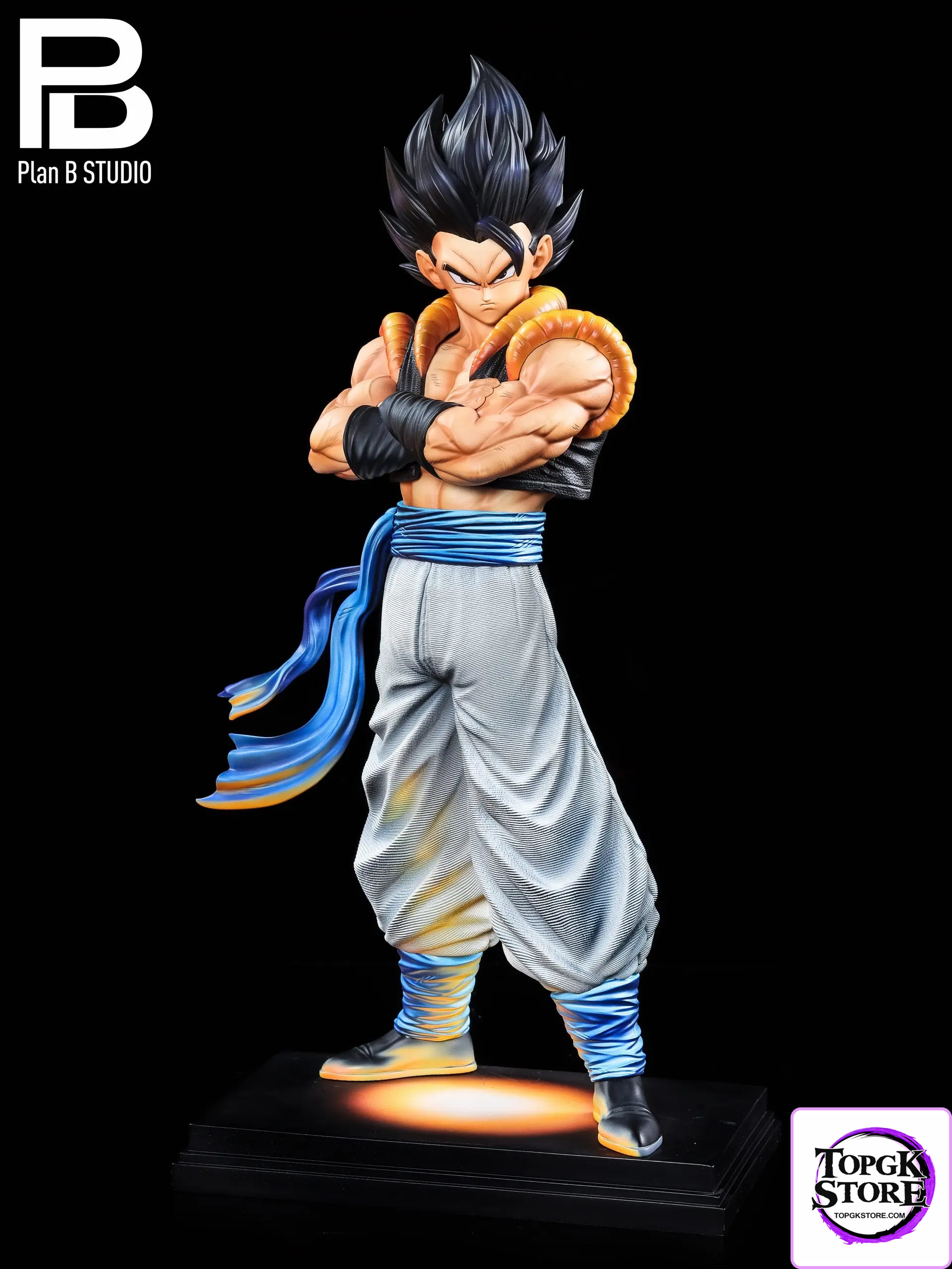 PlanB Studio – 2.5d color matching Gogeta - Photo 1 | TopGKStore