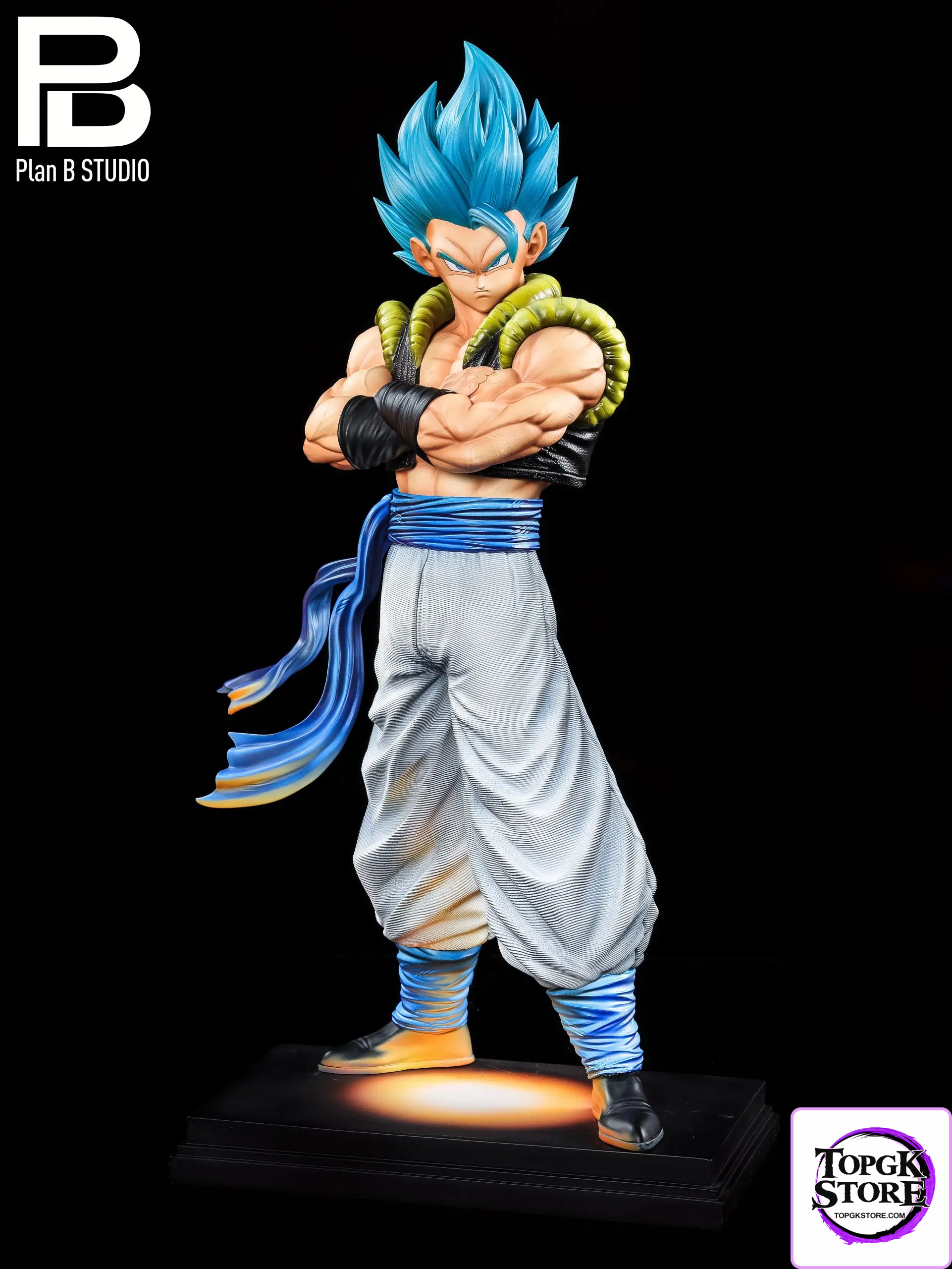 PlanB Studio – 2.5d color matching Gogeta - Photo 2 | TopGKStore
