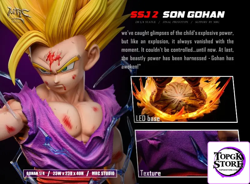 MRC Studio – Dragon Ball Super Saiyan 2 Gohan - Photo 7 | TopGKStore