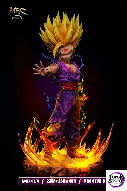 MRC Studio – Dragon Ball Super Saiyan 2 Gohan - Photo 1 | TopGKStore