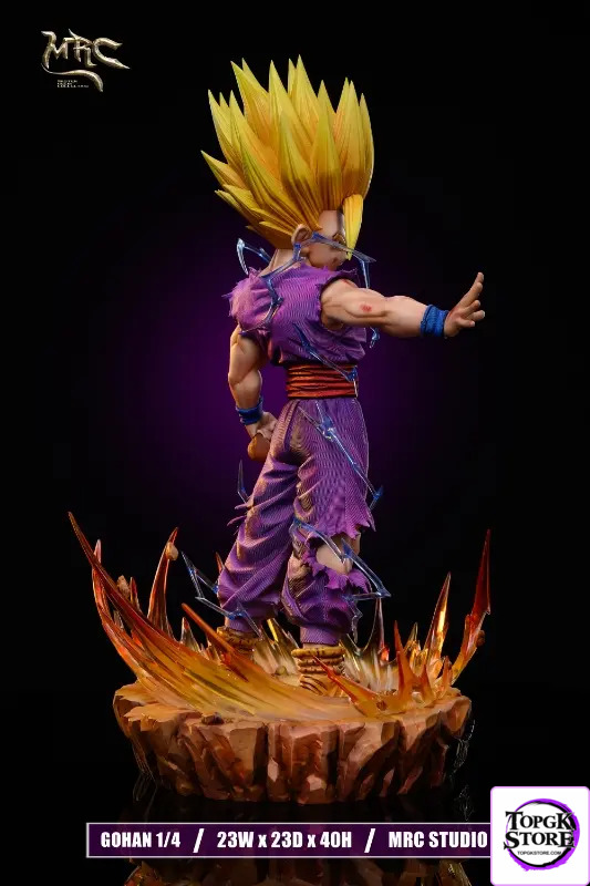 MRC Studio – Dragon Ball Super Saiyan 2 Gohan - Photo 4 | TopGKStore