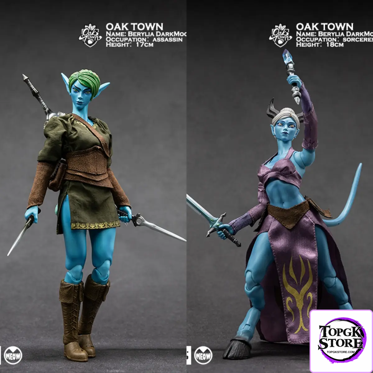 Lazy Monster Studio – Oak town Berylia Dark Moon Assassin & Sorceress (Licensed) - Photo 38 | TopGKStore