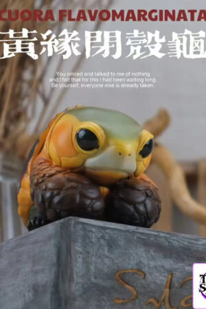 Natural Science Book Studio – CUORA FLAVOMARGINATA & GEOCHELONE SULCATA (Licensed) - Photo 1 | TopGKStore