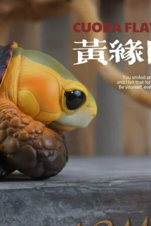Natural Science Book Studio – CUORA FLAVOMARGINATA & GEOCHELONE SULCATA (Licensed) - Photo 2 | TopGKStore