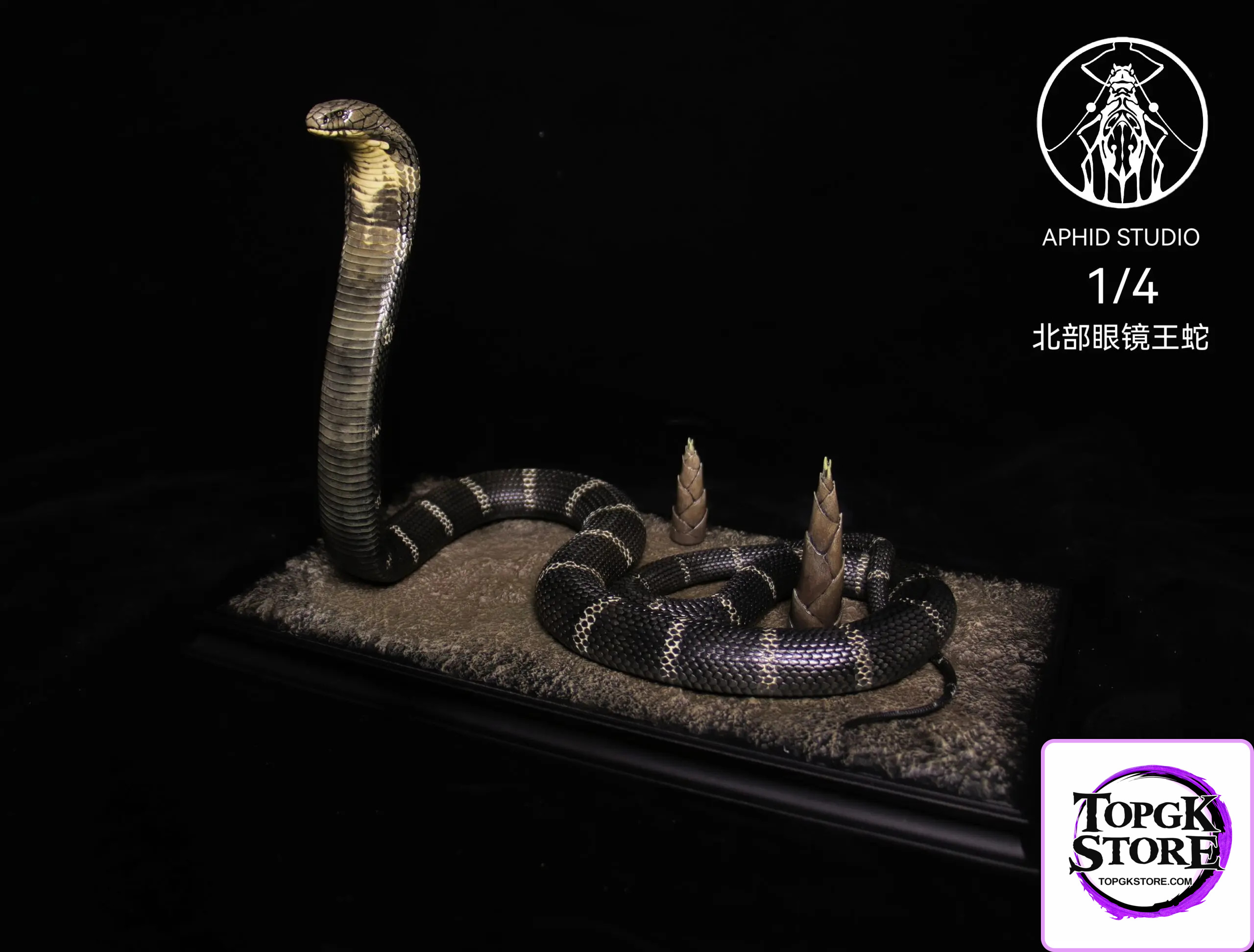 Aphid Studio – Northern King Cobra (Licensed) - Photo 8 | TopGKStore
