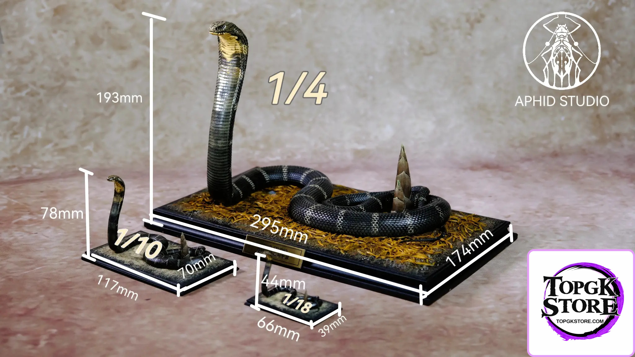 Aphid Studio – Northern King Cobra (Licensed) - Photo 9 | TopGKStore