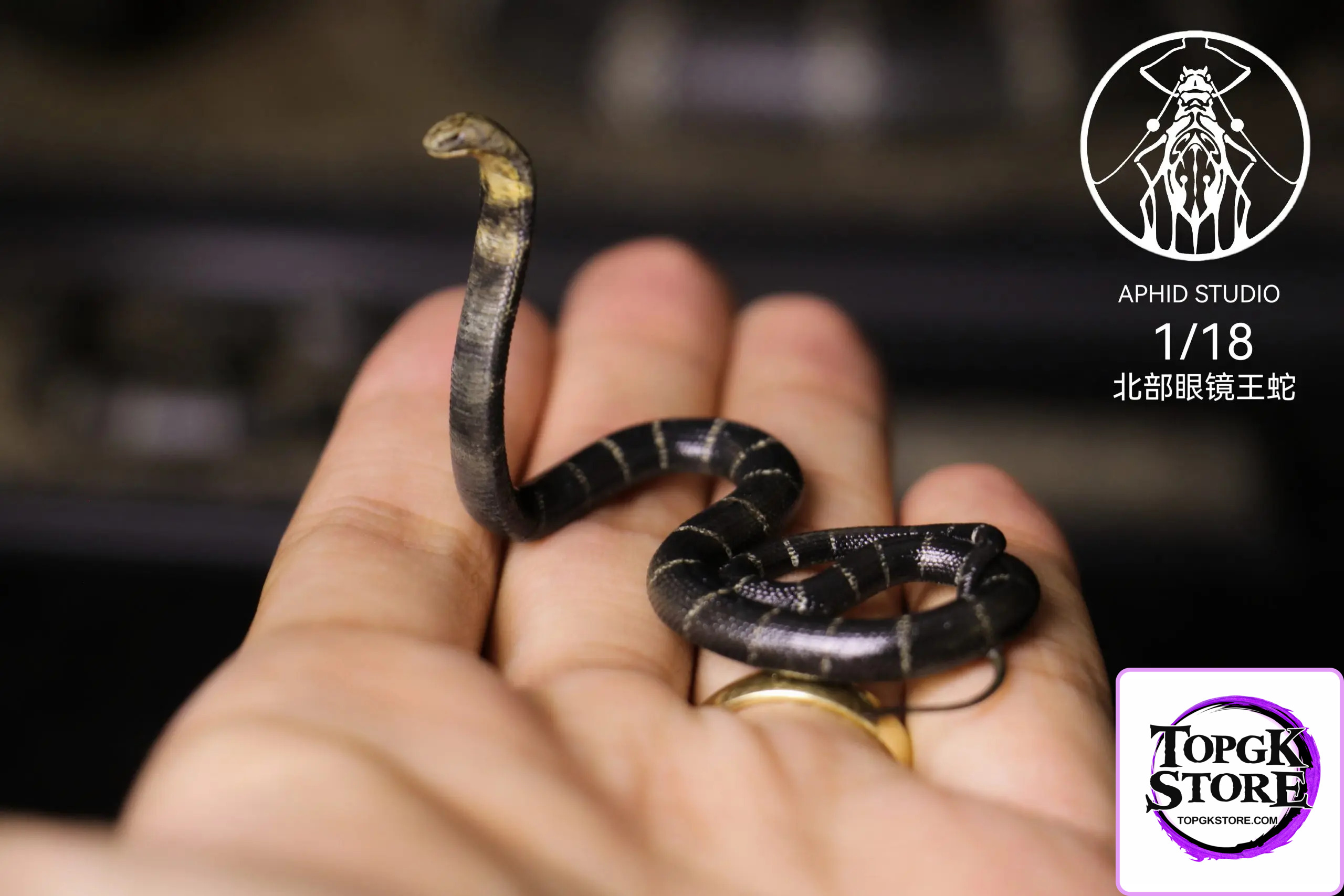 Aphid Studio – Northern King Cobra (Licensed) - Photo 2 | TopGKStore