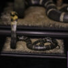Aphid Studio – Northern King Cobra (Licensed) - Photo 3 | TopGKStore