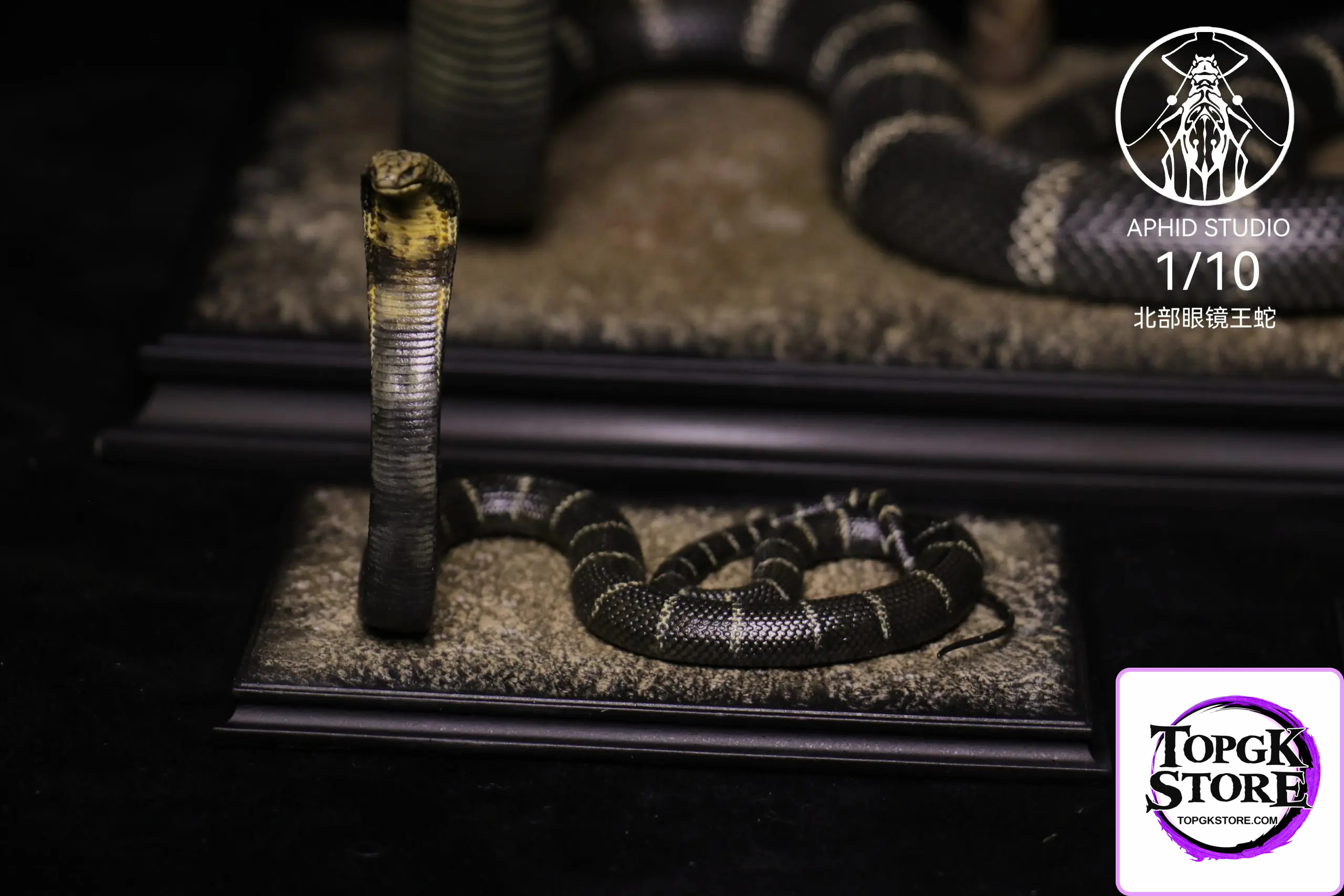 Aphid Studio – Northern King Cobra (Licensed) - Photo 3 | TopGKStore