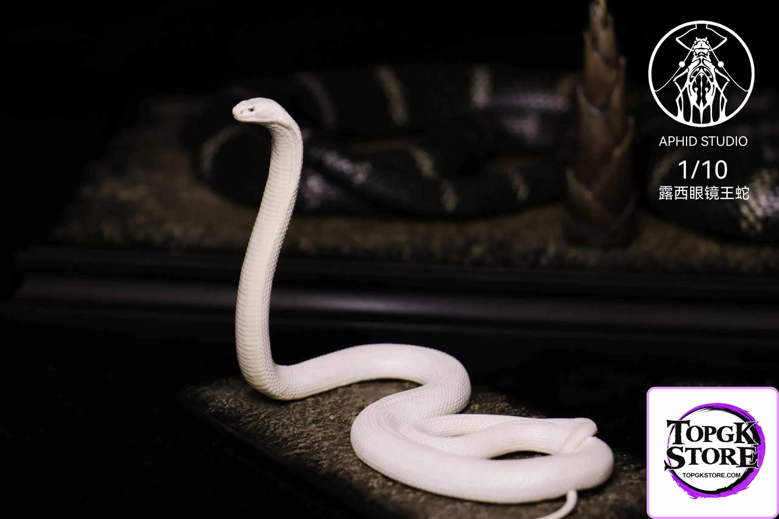 Aphid Studio – Northern King Cobra (Licensed) - Photo 4 | TopGKStore