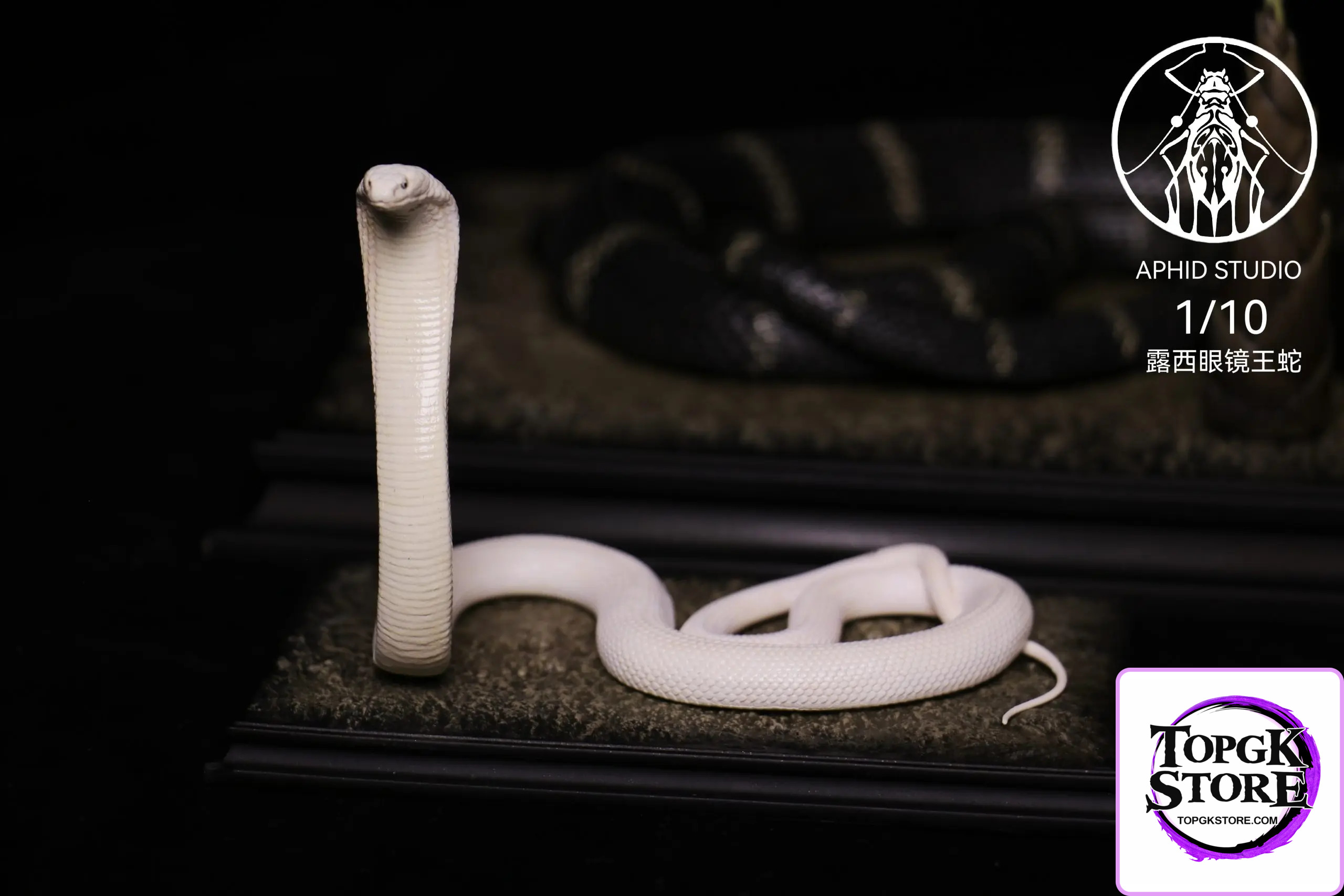 Aphid Studio – Northern King Cobra (Licensed) - Photo 6 | TopGKStore