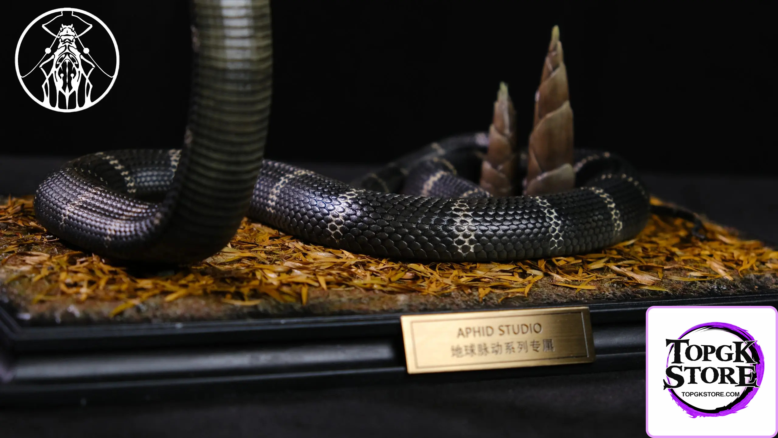 Aphid Studio – Northern King Cobra (Licensed) - Photo 7 | TopGKStore