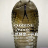Snakegorge – King Cobra (Licensed) - Photo 6 | TopGKStore