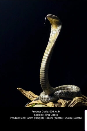 Snakegorge – King Cobra (Licensed) - Photo 1 | TopGKStore